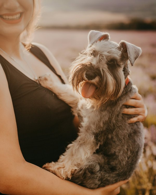 Actualités des chiens : conseils pour un quotidien heureux et sain